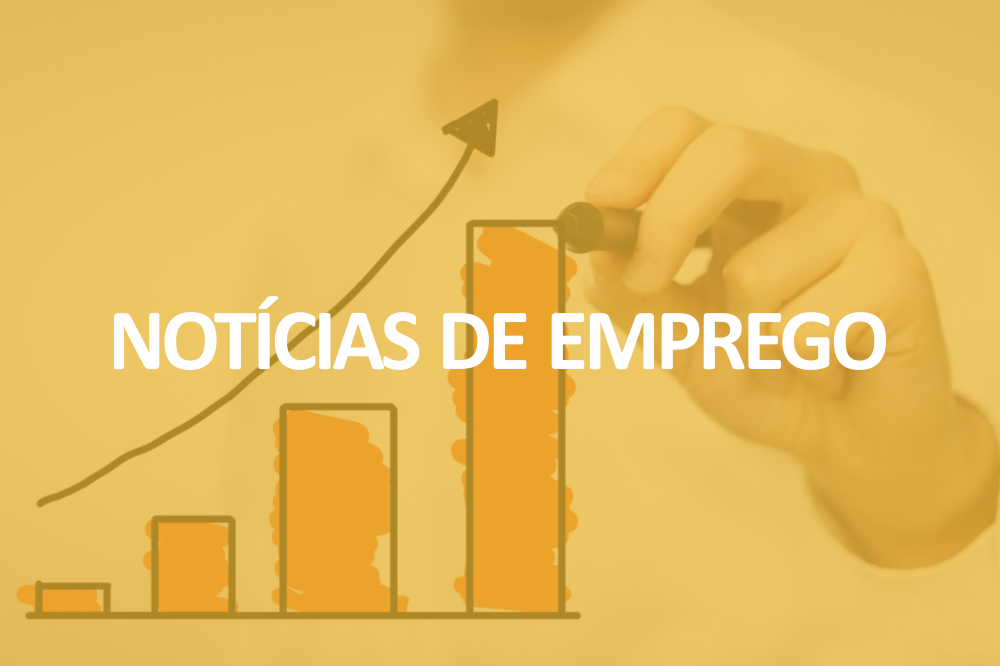 Em busca de trabalho? Saiba quais cidades mais geraram vagas de emprego em 2019